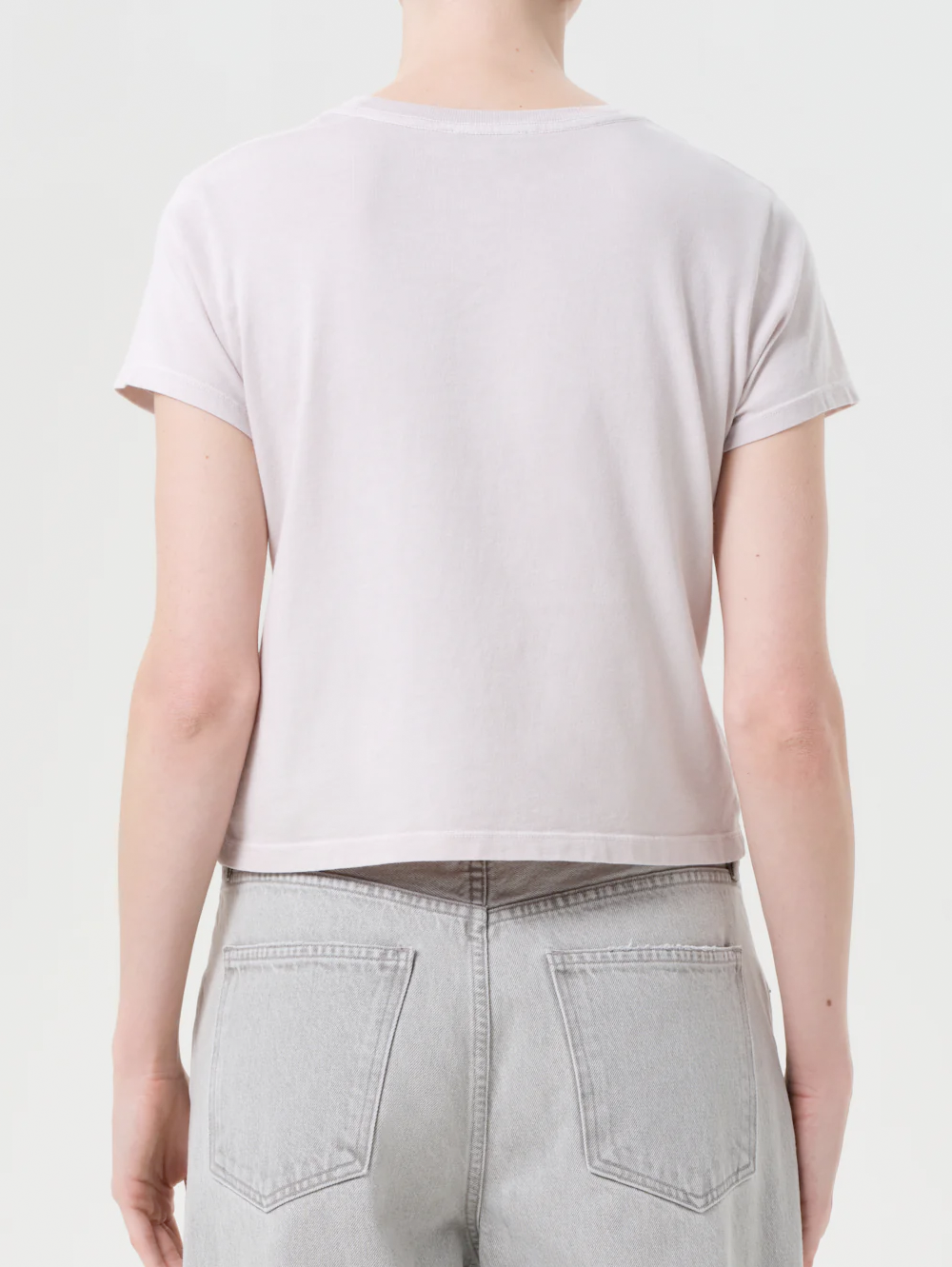 Adine Shrunken Tee in Rosewater