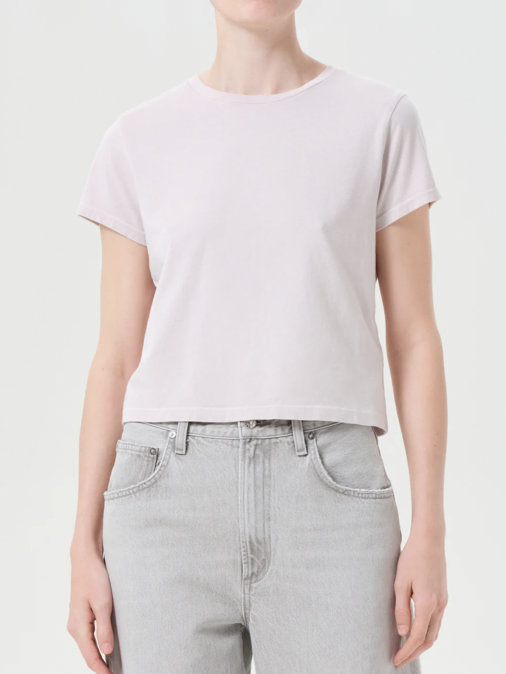 Adine Shrunken Tee in Rosewater