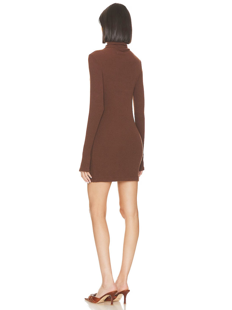 Knit Turtleneck Mini Dress