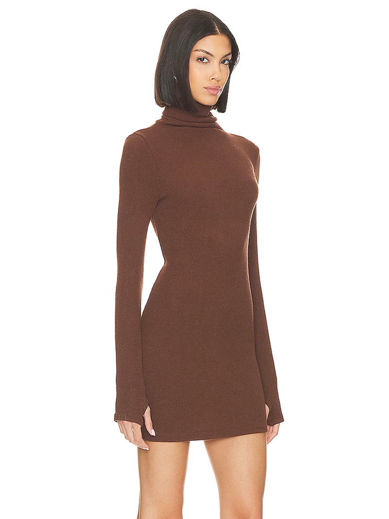 Knit Turtleneck Mini Dress